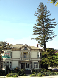 The Hinds House and coast redwood tree