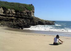Secluded beach at Wilder Ranch